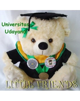 Boneka Wisuda Universitas Udayana - Keperawatan (30 cm)